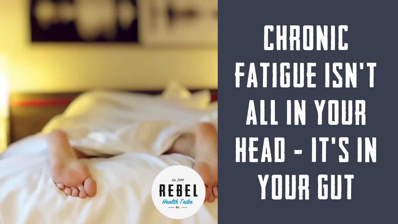 Chronic Fatigue Isn't All In Your Head - It's In Your Gut