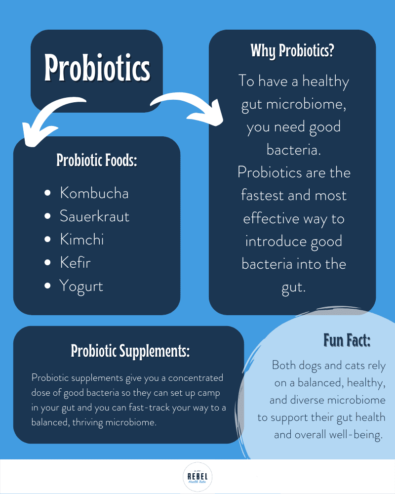 What Are Probiotics Good For?