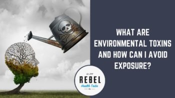 What Are Environmental Toxins